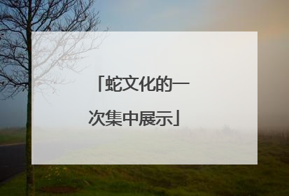 蛇文化的一次集中展示