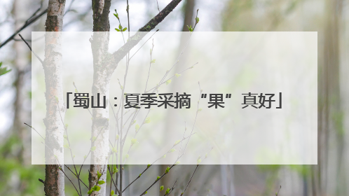 蜀山：夏季采摘“果”真好