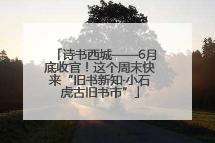 诗书西城——6月底收官！这个周末快来“旧书新知·小石虎古旧书市”