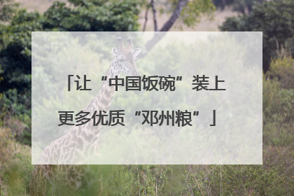 让“中国饭碗”装上更多优质“邓州粮”