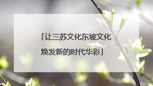 让三苏文化东坡文化焕发新的时代华彩