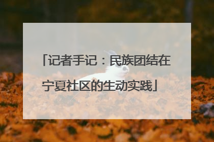 记者手记：民族团结在宁夏社区的生动实践