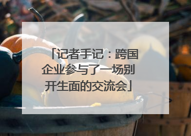 记者手记：跨国企业参与了一场别开生面的交流会