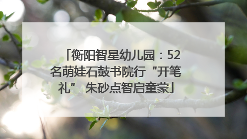 衡阳智星幼儿园：52名萌娃石鼓书院行“开笔礼” 朱砂点智启童蒙