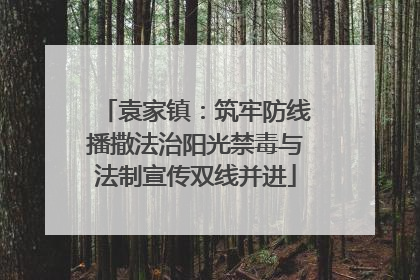 袁家镇：筑牢防线播撒法治阳光禁毒与法制宣传双线并进