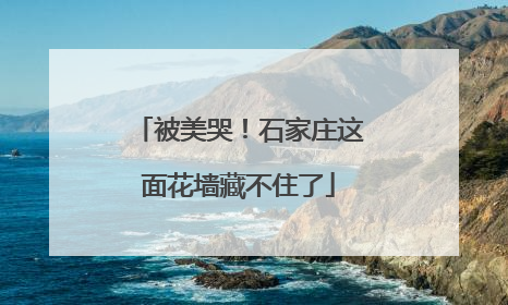 被美哭！石家庄这面花墙藏不住了
