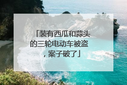 装有西瓜和蒜头的三轮电动车被盗，案子破了