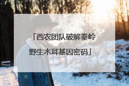 西农团队破解秦岭野生木耳基因密码