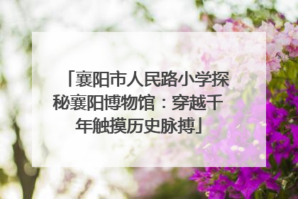 襄阳市人民路小学探秘襄阳博物馆：穿越千年触摸历史脉搏