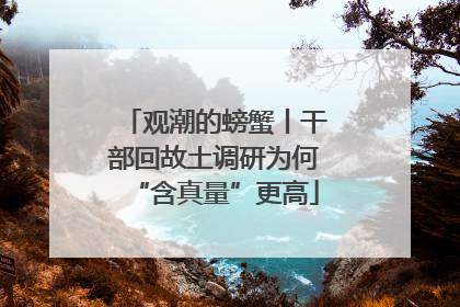 观潮的螃蟹丨干部回故土调研为何“含真量”更高