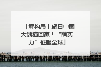 解构局丨旅日中国大熊猫回家！“萌实力”征服全球