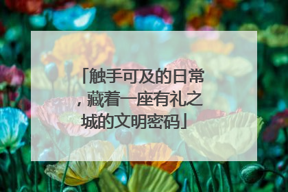触手可及的日常，藏着一座有礼之城的文明密码
