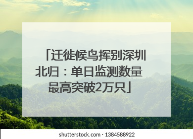 迁徙候鸟挥别深圳北归：单日监测数量最高突破2万只