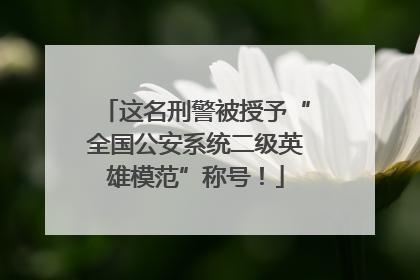 这名刑警被授予“全国公安系统二级英雄模范”称号！