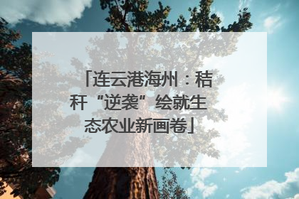 连云港海州：秸秆“逆袭”绘就生态农业新画卷