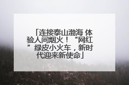 连接泰山渤海 体验人间烟火！“网红”绿皮小火车，新时代迎来新使命