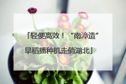 轻便高效！“南漳造”旱稻播种机走俏湖北