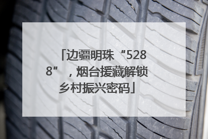 边疆明珠“5288”，烟台援藏解锁乡村振兴密码
