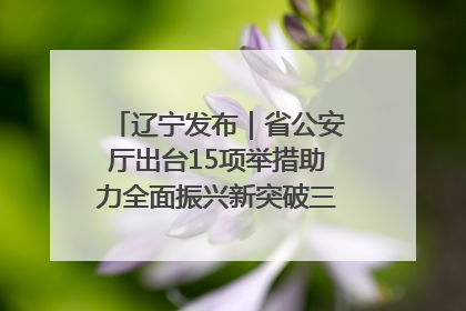 辽宁发布｜省公安厅出台15项举措助力全面振兴新突破三年行动决胜之战