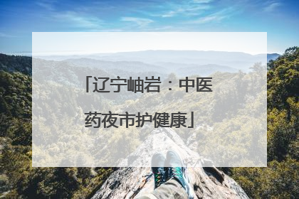 辽宁岫岩：中医药夜市护健康