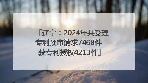 辽宁：2024年共受理专利预审请求7468件 获专利授权4213件