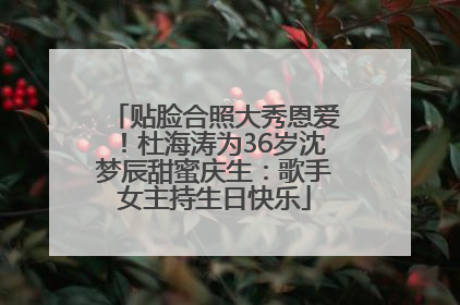 贴脸合照大秀恩爱！杜海涛为36岁沈梦辰甜蜜庆生：歌手女主持生日快乐