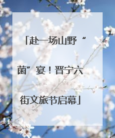 赴一场山野“菌”宴！晋宁六街文旅节启幕