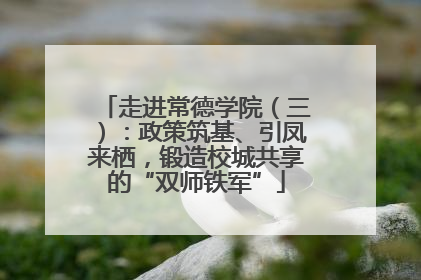 走进常德学院（三）：政策筑基、引凤来栖，锻造校城共享的“双师铁军”
