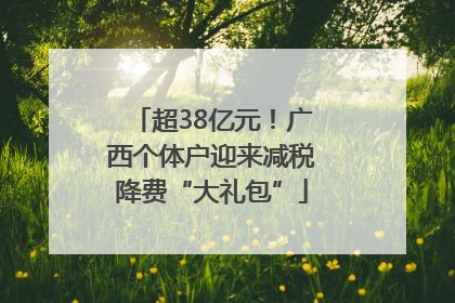 超38亿元！广西个体户迎来减税降费“大礼包”