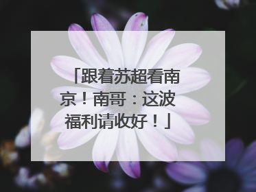 跟着苏超看南京！南哥：这波福利请收好！