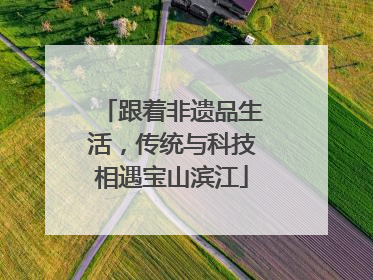 跟着非遗品生活，传统与科技相遇宝山滨江