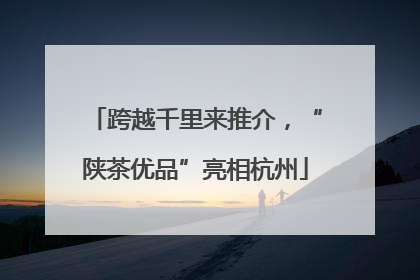 跨越千里来推介，“陕茶优品”亮相杭州