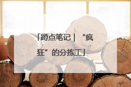 蹲点笔记｜“疯狂”的分拣工