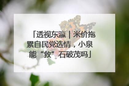 透视东瀛｜米价拖累自民党选情，小泉能“救”石破茂吗