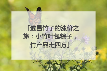 遂昌竹子的涨价之旅：小竹叶包粽子，竹产品走四方