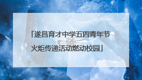 遂昌育才中学五四青年节火炬传递活动燃动校园