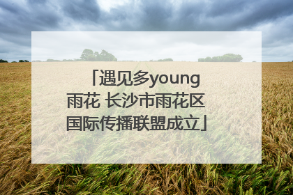遇见多young雨花 长沙市雨花区国际传播联盟成立