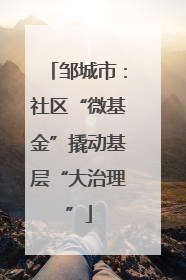 邹城市：社区“微基金”撬动基层“大治理”