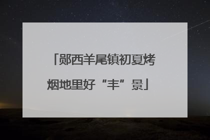 郧西羊尾镇初夏烤烟地里好“丰”景
