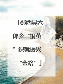 郧西县六郎乡“银茧”织就振兴“金路”