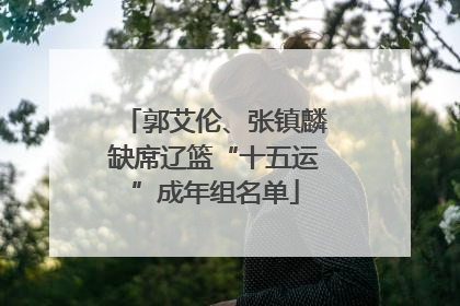 郭艾伦、张镇麟缺席辽篮“十五运”成年组名单