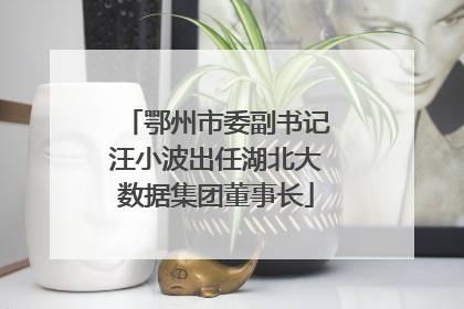 鄂州市委副书记汪小波出任湖北大数据集团董事长