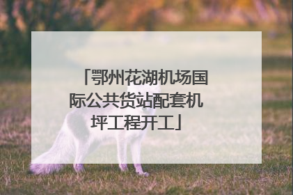 鄂州花湖机场国际公共货站配套机坪工程开工