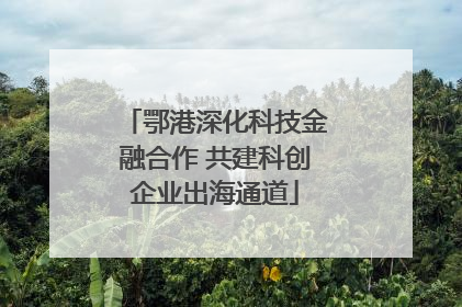 鄂港深化科技金融合作 共建科创企业出海通道