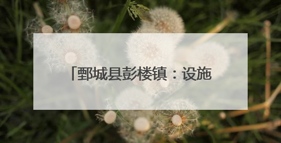 鄄城县彭楼镇：设施大棚赋能乡村振兴