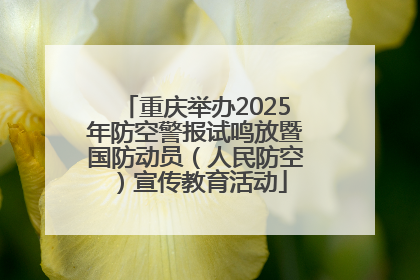 重庆举办2025年防空警报试鸣放暨国防动员（人民防空）宣传教育活动
