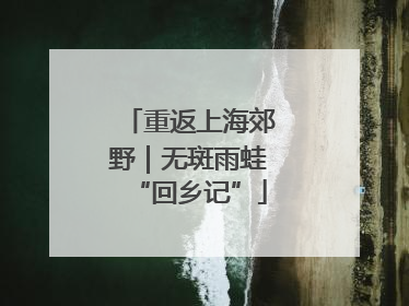 重返上海郊野｜无斑雨蛙“回乡记”
