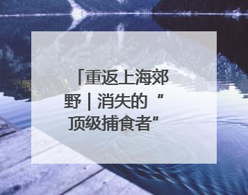 重返上海郊野｜消失的“顶级捕食者”如何归来？