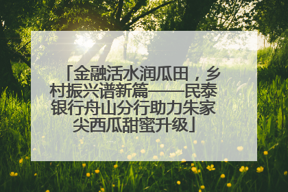 金融活水润瓜田，乡村振兴谱新篇——民泰银行舟山分行助力朱家尖西瓜甜蜜升级