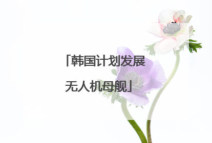 韩国计划发展无人机母舰